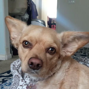 Meet your Posher, Ariam